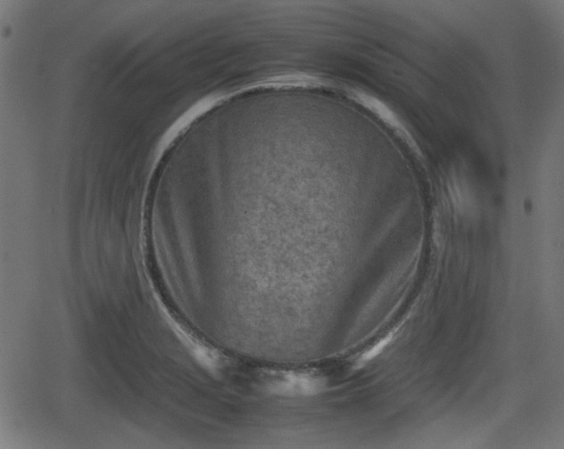 X0000062131229200512161143