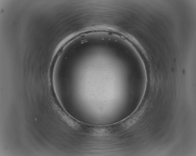 X0000062131230200512161143