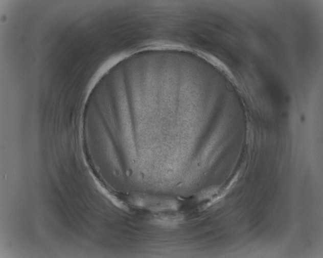 X0000062131231200512161143