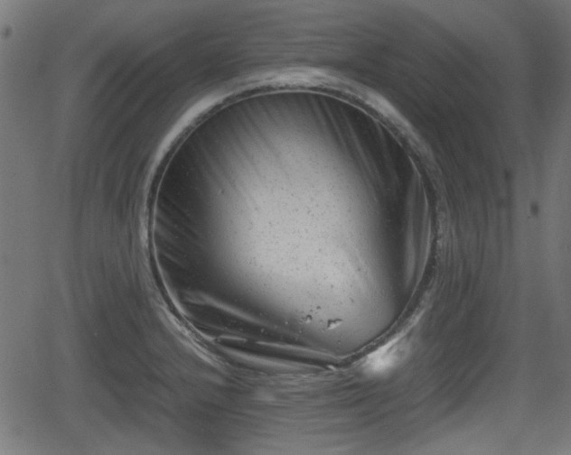 X0000062131232200512161143