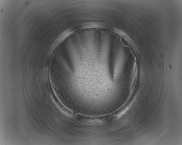 X0000062131233200512161143