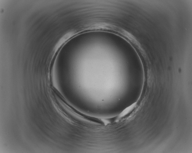 X0000062131234200512161143