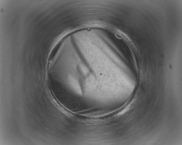 X0000062131236200512161143