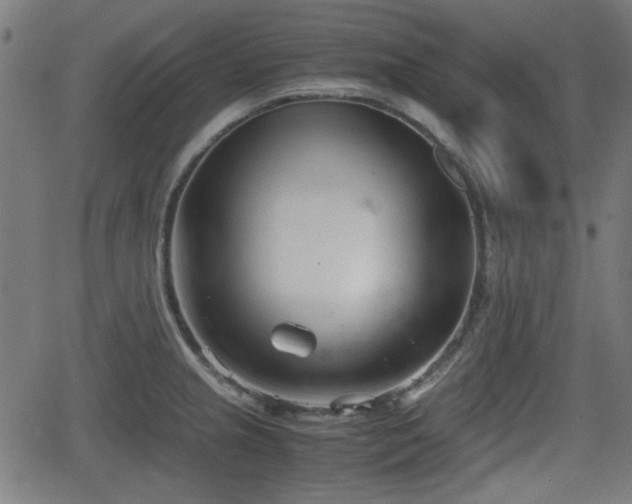 X0000062131237200512161143