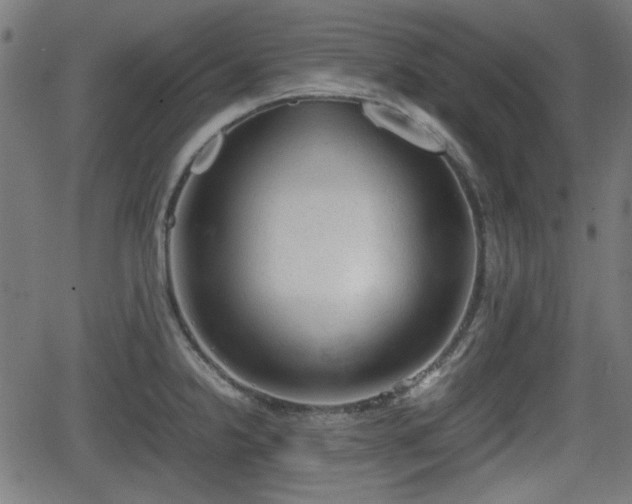 X0000062131238200512161143