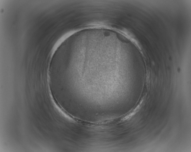 X0000062131239200512161143