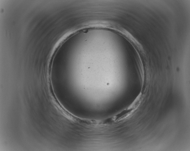 X0000062131240200512161143