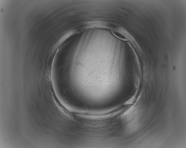 X0000062131241200512161143