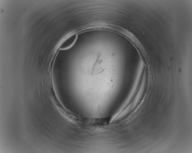 X0000062131242200512161143