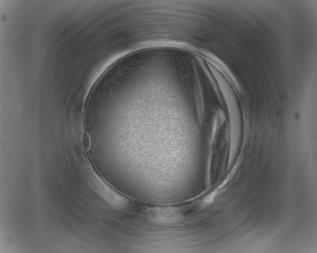 X0000062131244200512161143