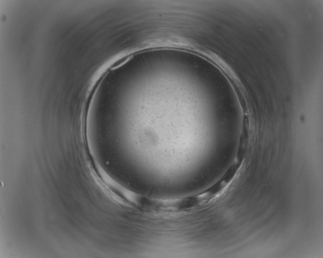 X0000062131246200512161144