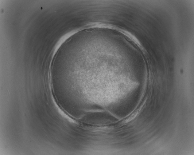 X0000062131247200512161144