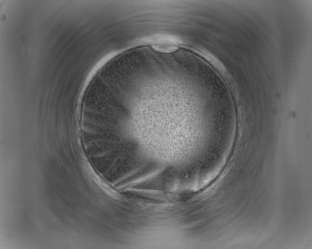 X0000062131248200512161144