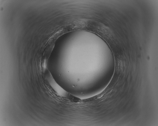 X0000062131250200512161143