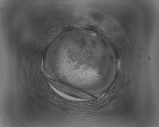 X0000062131251200512161143