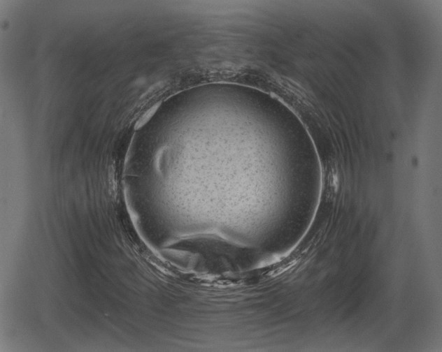 X0000062131252200512161143