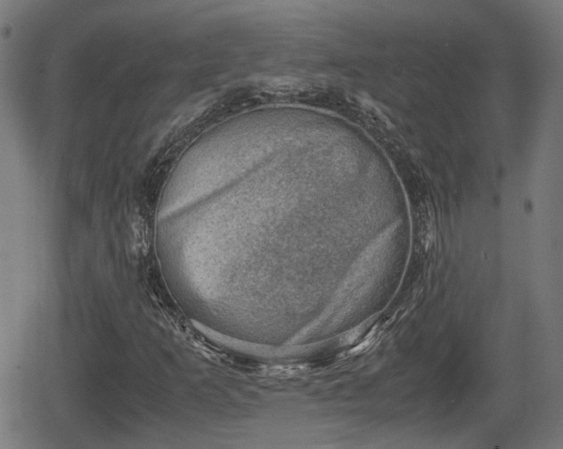 X0000062131253200512161143