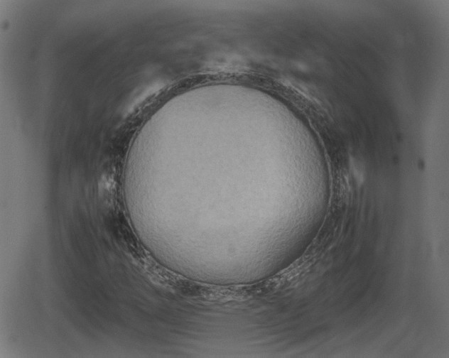 X0000062131254200512161143