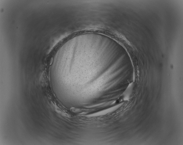 X0000062131256200512161143