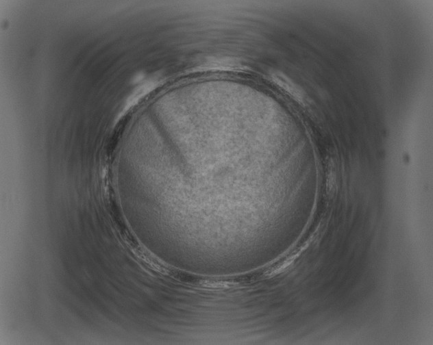 X0000062131258200512161143