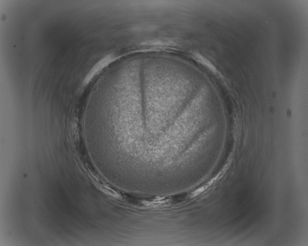 X0000062131259200512161143