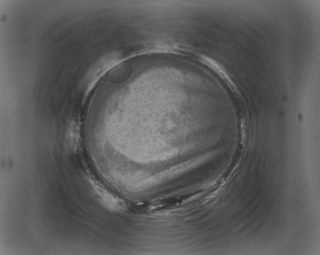 X0000062131260200512161143