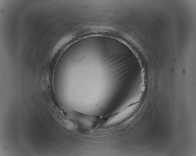 X0000062131261200512161143