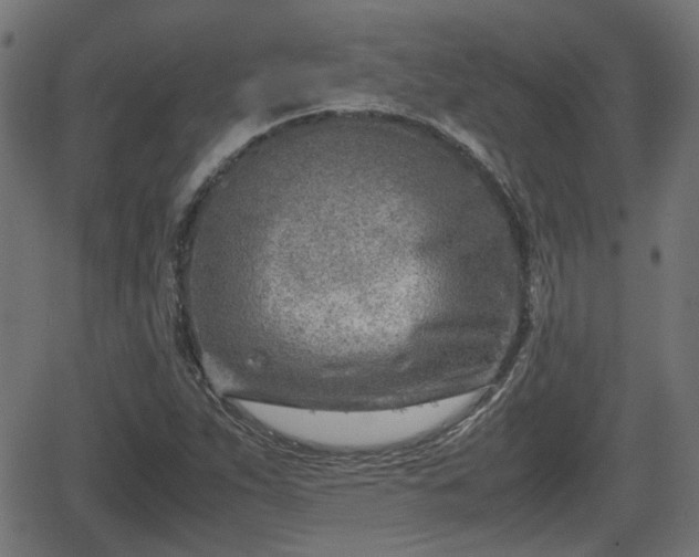 X0000062131263200512161143