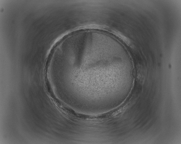 X0000062131264200512161143