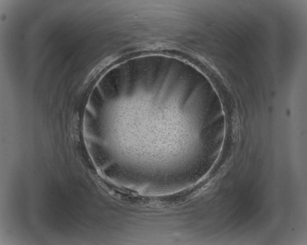 X0000062131265200512161143