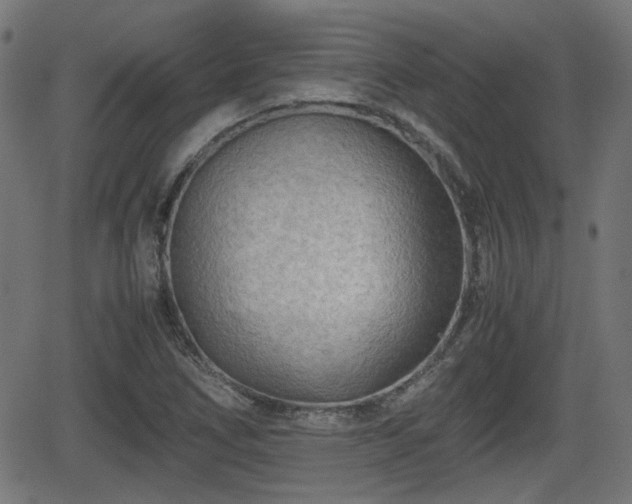 X0000062131266200512161142