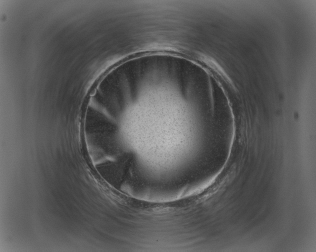 X0000062131268200512161142