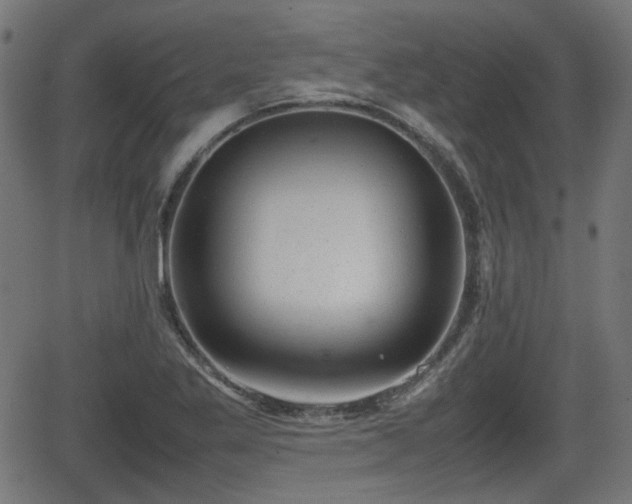 X0000062131269200512161142