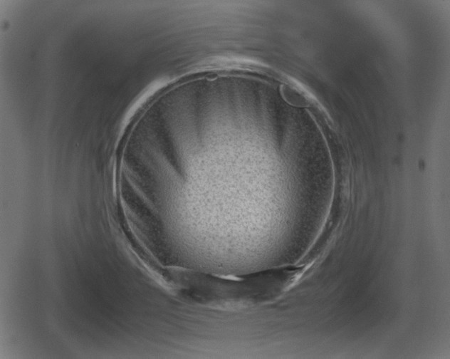 X0000062131275200512161142