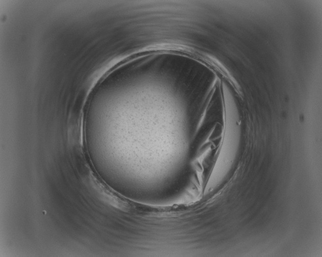 X0000062131276200512161142