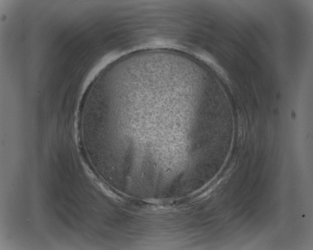 X0000062131278200512161142