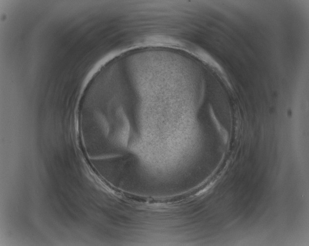 X0000062131280200512161142