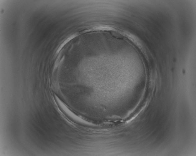 X0000062131281200512161142