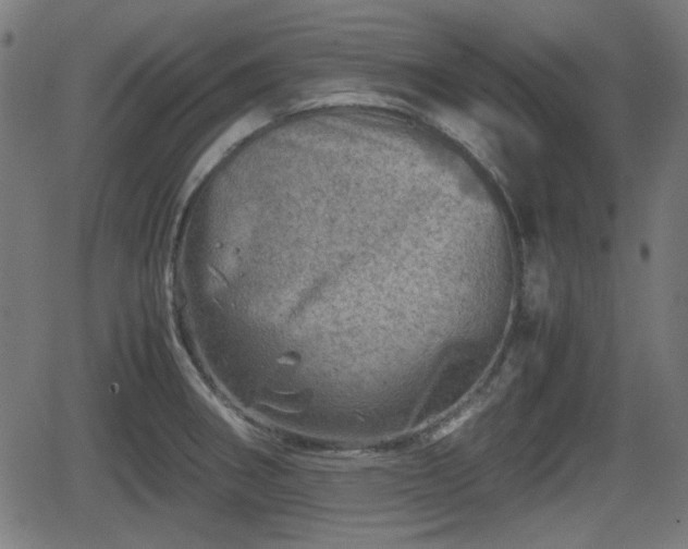 X0000062131282200512161142