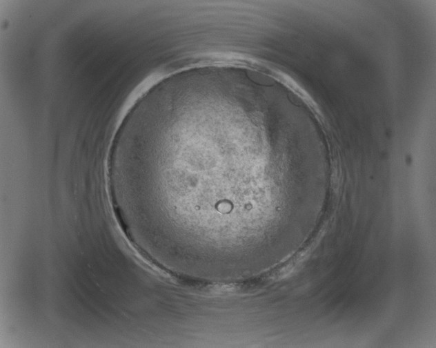 X0000062131283200512161142