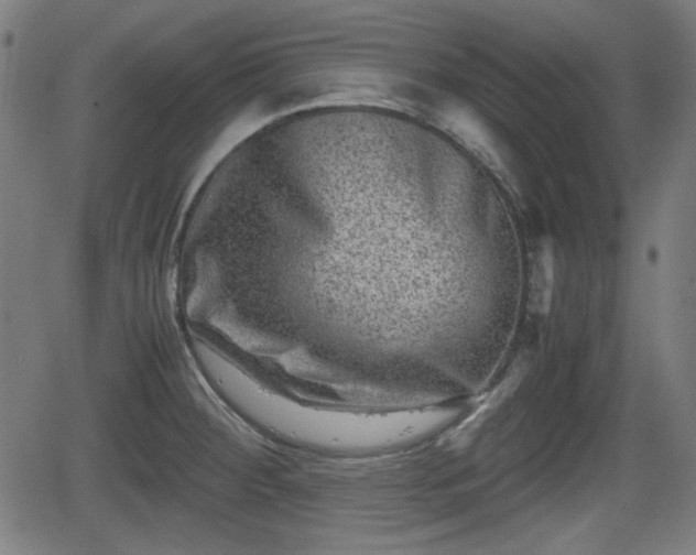 X0000062131284200512161142