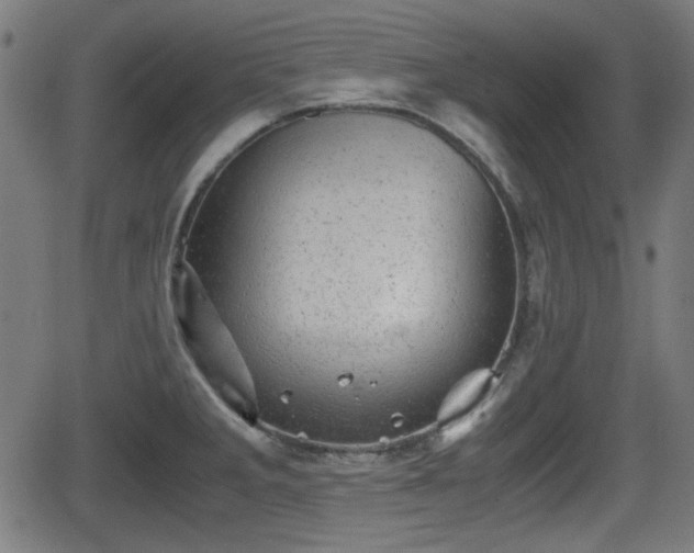 X0000062131285200512161142