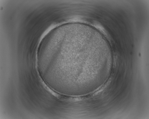 X0000062131286200512161142