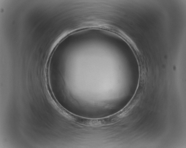 X0000062131291200512161142