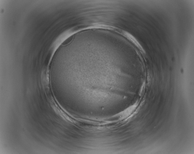 X0000062131292200512161142