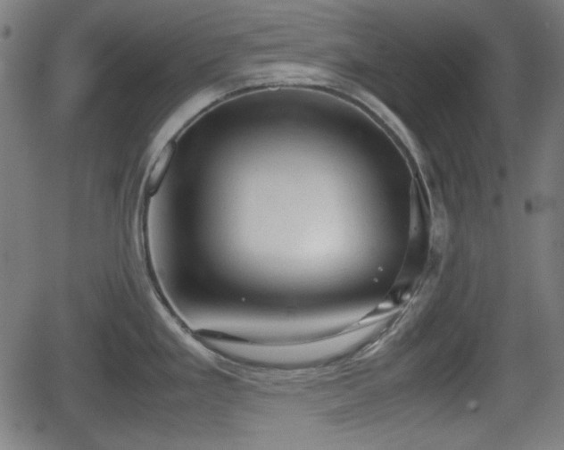 X0000062131293200512161142