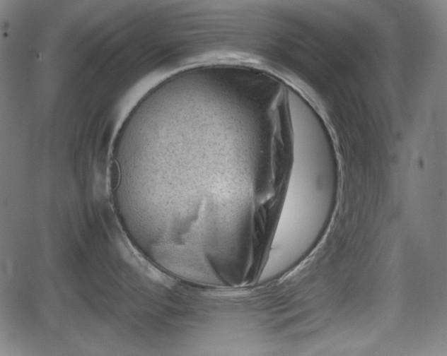 X0000062131296200512161142