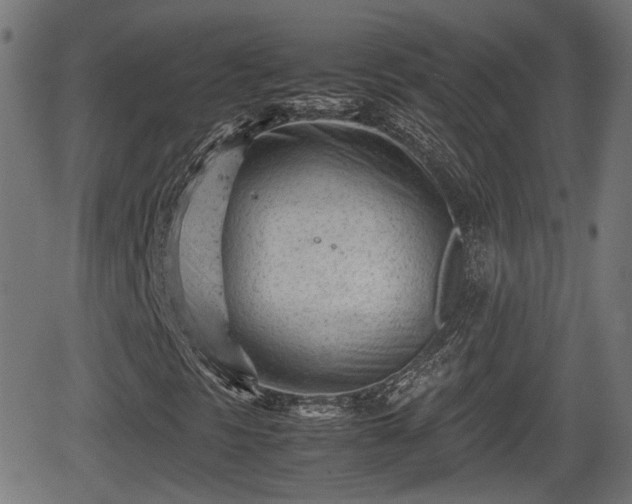 X0000062131297200512161141