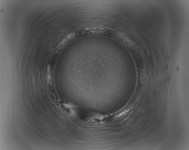 X0000062131298200512161141