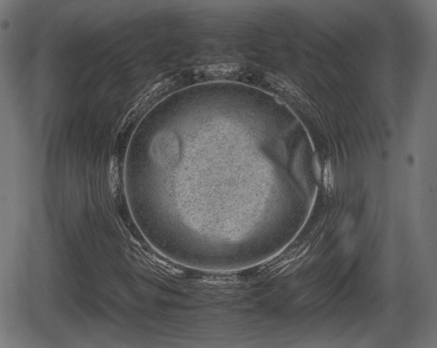 X0000062131299200512161141